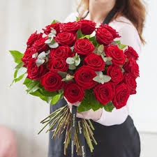 24 Red Roses