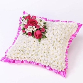 Cushion