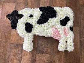 Cow tribute