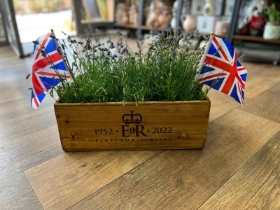 Jubilee Crates with Lavender